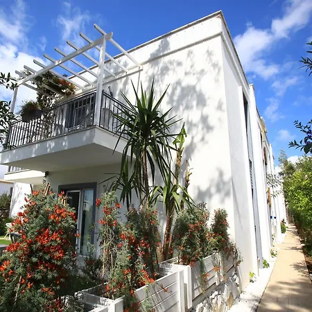 Szálloda Mu Suites The 2*