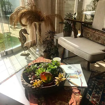 Mu Suites The Szálloda Ortakent