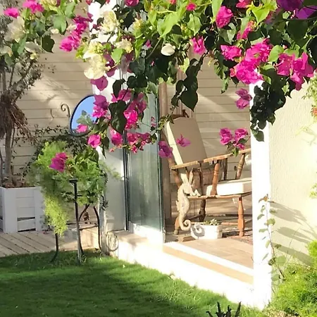 Mu Suites The Szálloda 2*