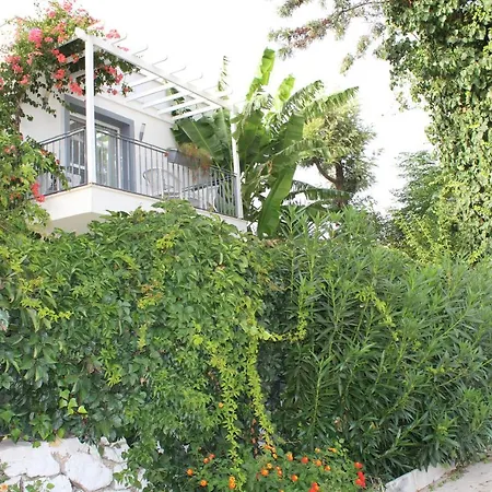 Mu Suites The Szálloda