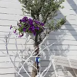 Mu Suites The Ξενοδοχείο 2*