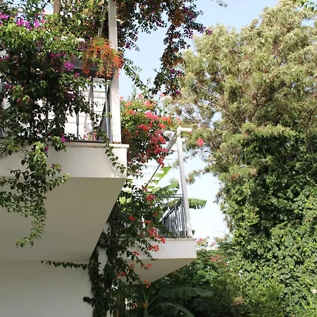 Szálloda Mu Suites The